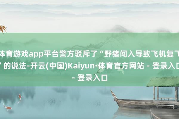 体育游戏app平台警方驳斥了“野猪闯入导致飞机复飞”的说法-开云(中国)Kaiyun·体育官方网站 - 登录入口