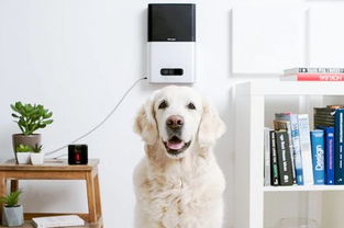 美国智能睡眠仪 科技如何重塑你的夜间生活